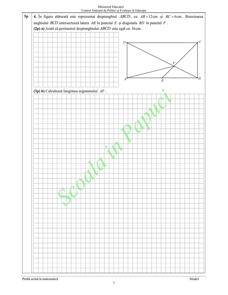 Model Evaluarea Națională 2025 - Matematică - P7