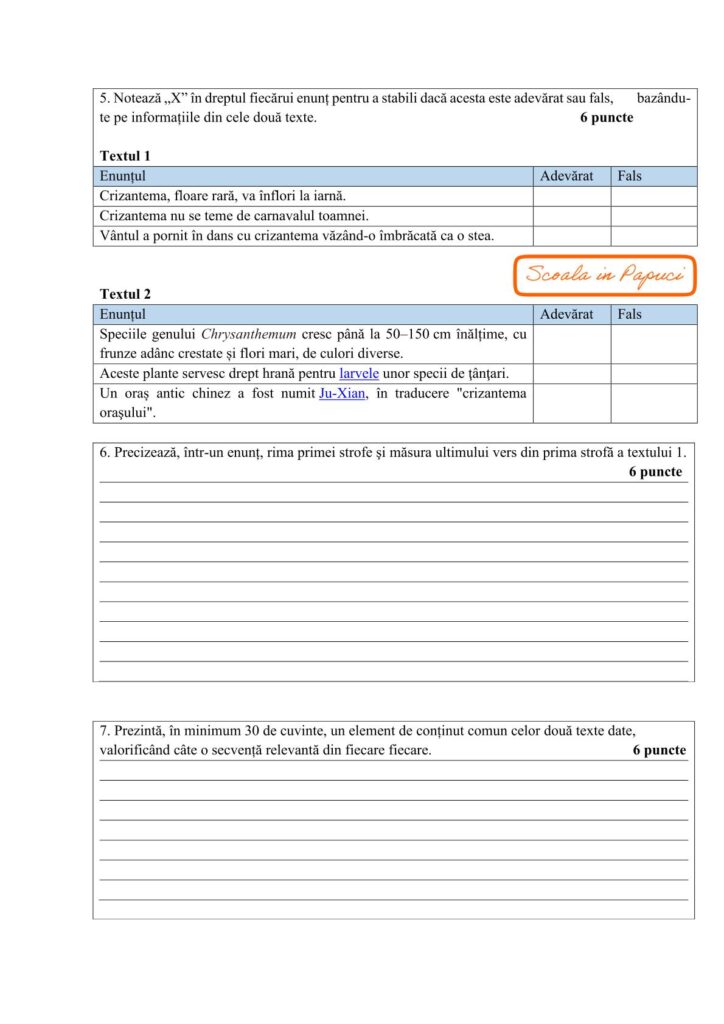 Test de antrenament nr. 3 - Limba și literatura română - Evaluarea națională 2026 - ISJ Brăila