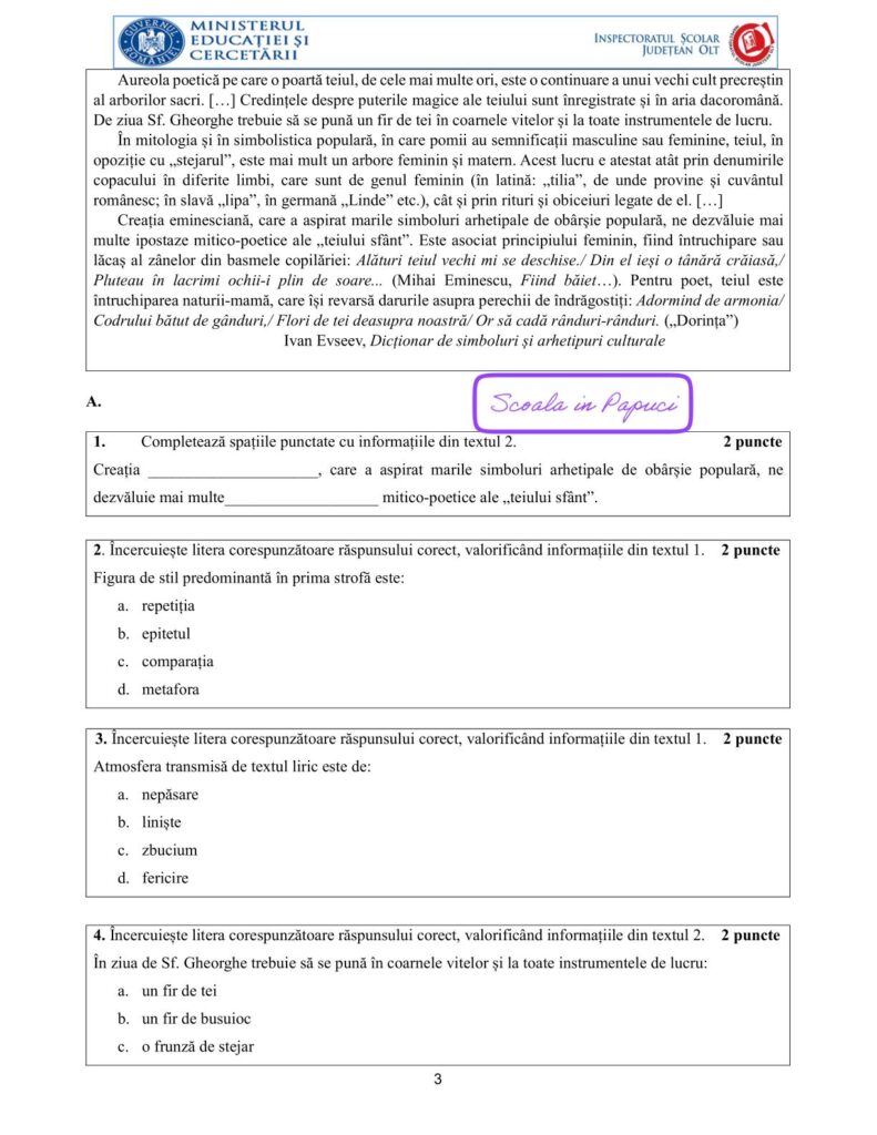 Simulare Evaluarea Națională 2026 - Limba și literatura română - 3 Decembrie 2025 - ISJ Olt - P3