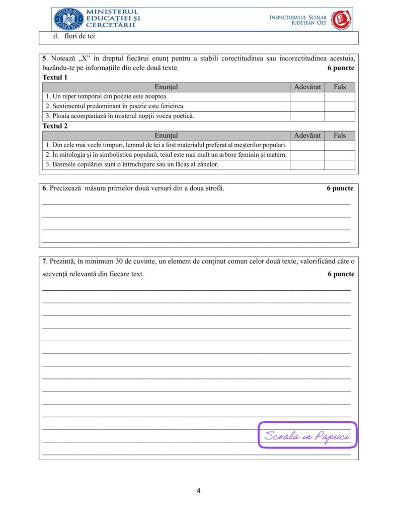 Simulare Evaluarea Națională 2026 - Limba și literatura română - 3 Decembrie 2025 - ISJ Olt - P4