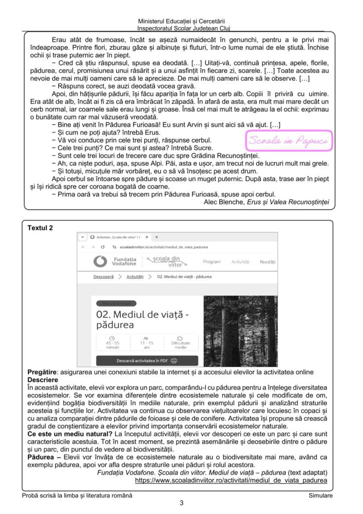 Simulare Evaluarea Națională 2025 - Limba și literatura română - 20 Ianuarie 2025 - ISJ Cluj