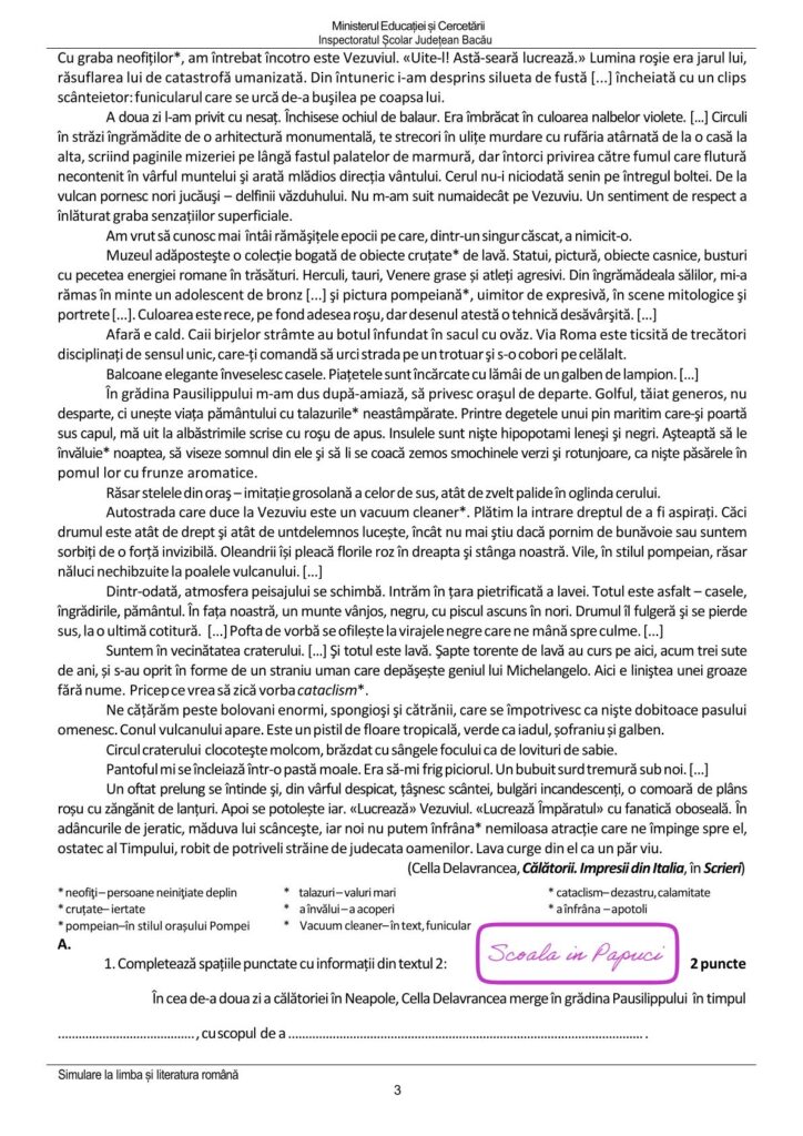 Simulare Evaluarea Națională 2026 - Limba și literatura română - 9 Februarie 2026 - ISJ Bacău P3