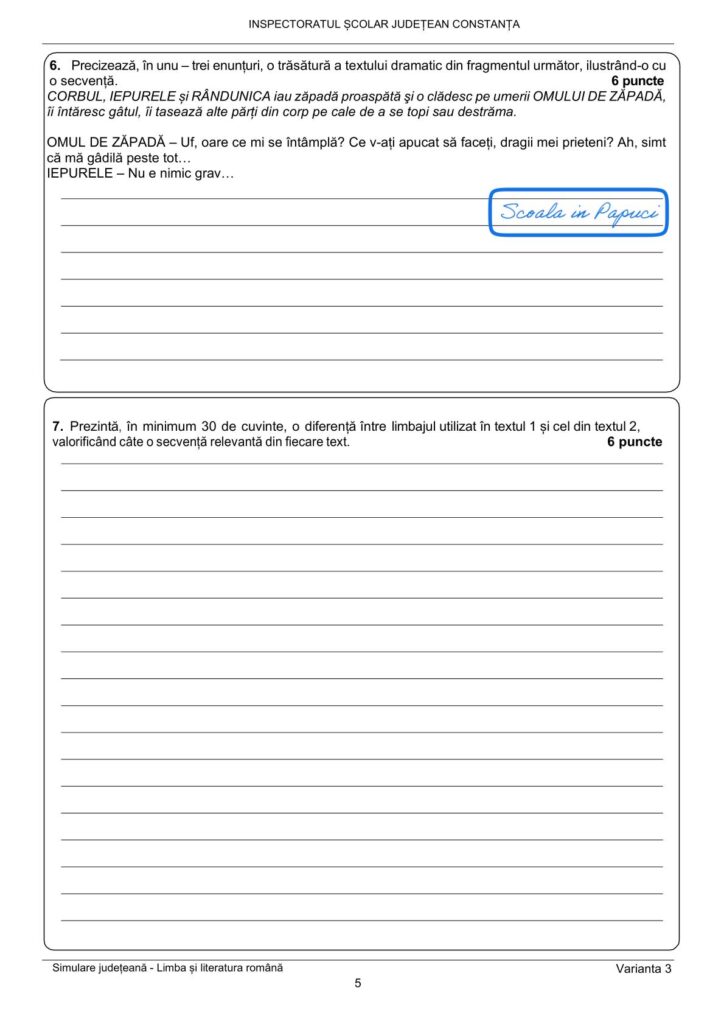 Simulare Evaluarea Națională 2025 - Limba și literatura română - Varianta 3 - 18 Februarie 2025 - ISJ Constanța 5