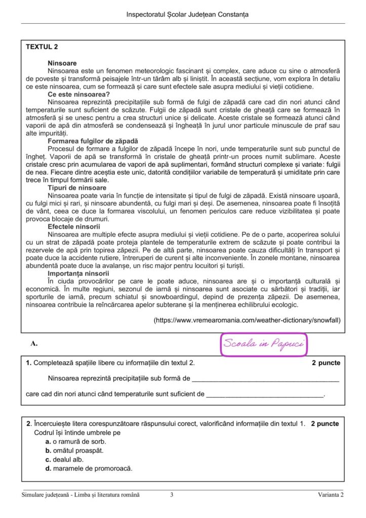 Simulare Evaluarea Națională 2026 - Limba și literatura română - 9 Februarie 2026 - ISJ Constanța P3