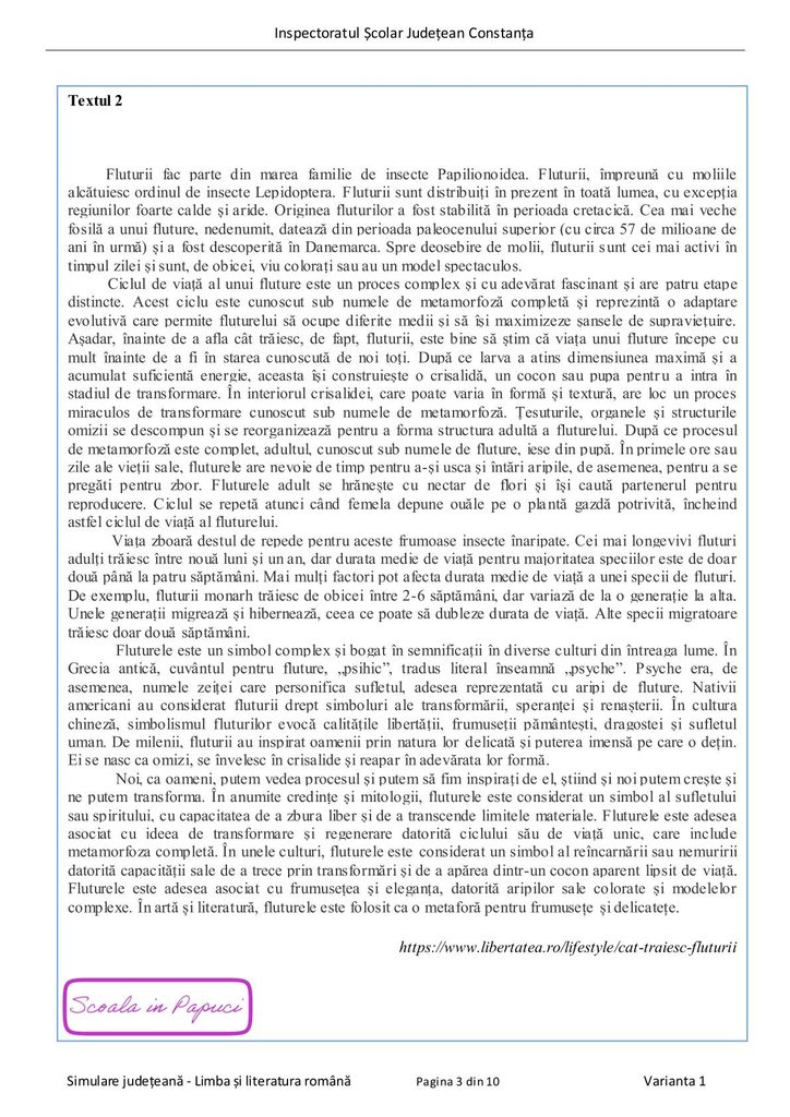 Simulare Evaluarea Națională 2026 - Limba și literatura română - Februarie 2026 - Varianta 1 - ISJ Constanța - P3