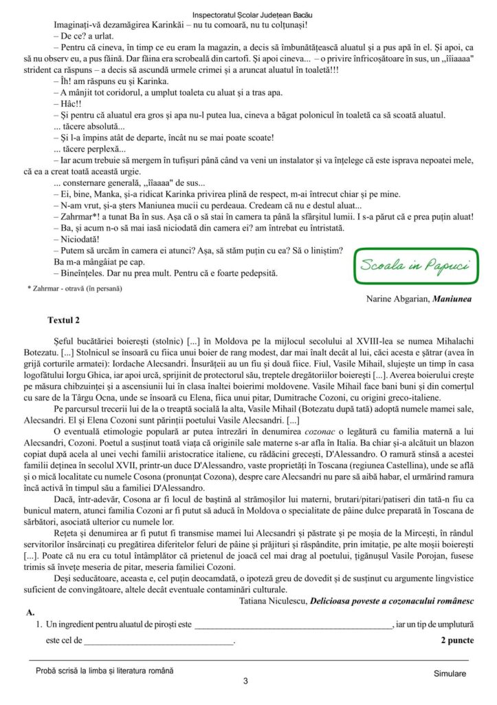 Simulare Evaluarea Națională 2025 - Limba și literatura română - 29 Aprilie 2025 - ISJ Bacău - P3