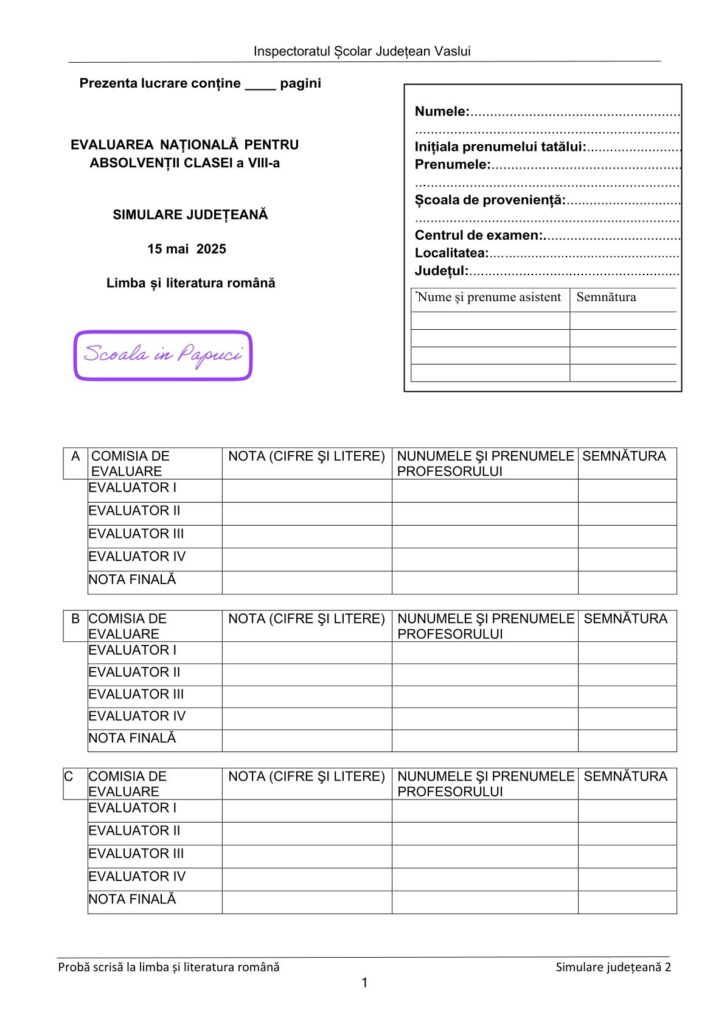 Simulare Evaluarea Națională 2025 - Limba și literatura română - 15 Mai 2025 - ISJ Vaslui - P1