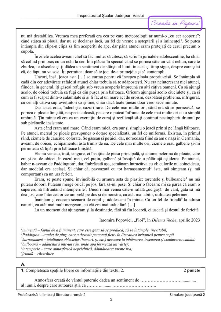 Simulare Evaluarea Națională 2025 - Limba și literatura română - 15 Mai 2025 - ISJ Vaslui - P3