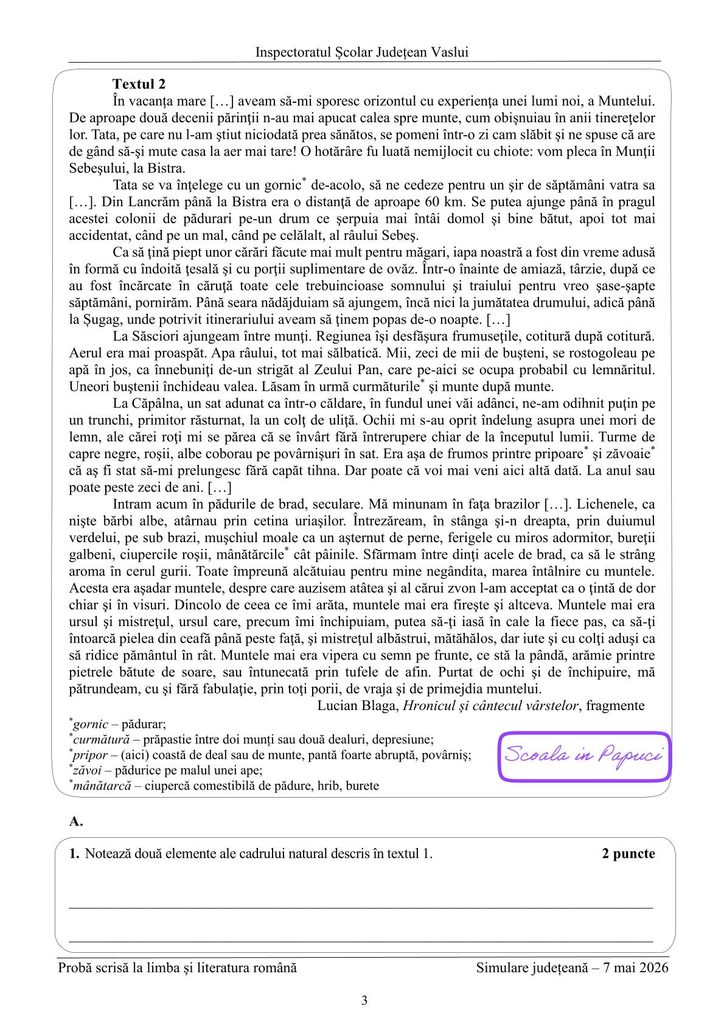 Simulare Evaluarea Națională 2026 - Limba și literatura română - 7 Mai 2026 - ISJ Vaslui - P3