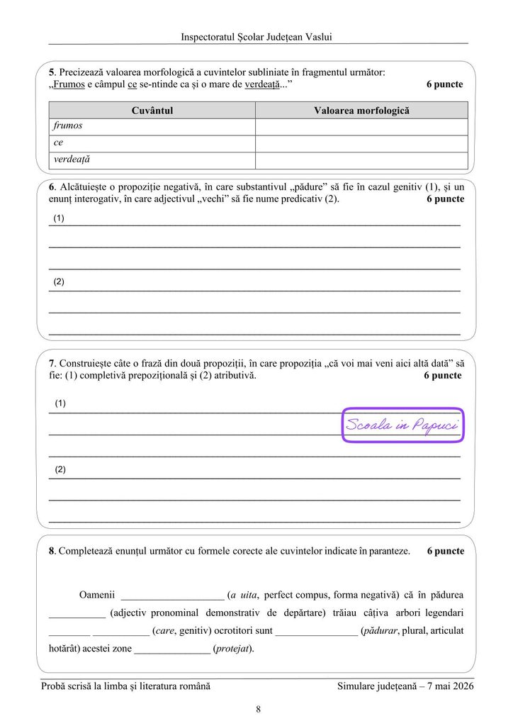 Simulare Evaluarea Națională 2026 - Limba și literatura română - 7 Mai 2026 - ISJ Vaslui - P8