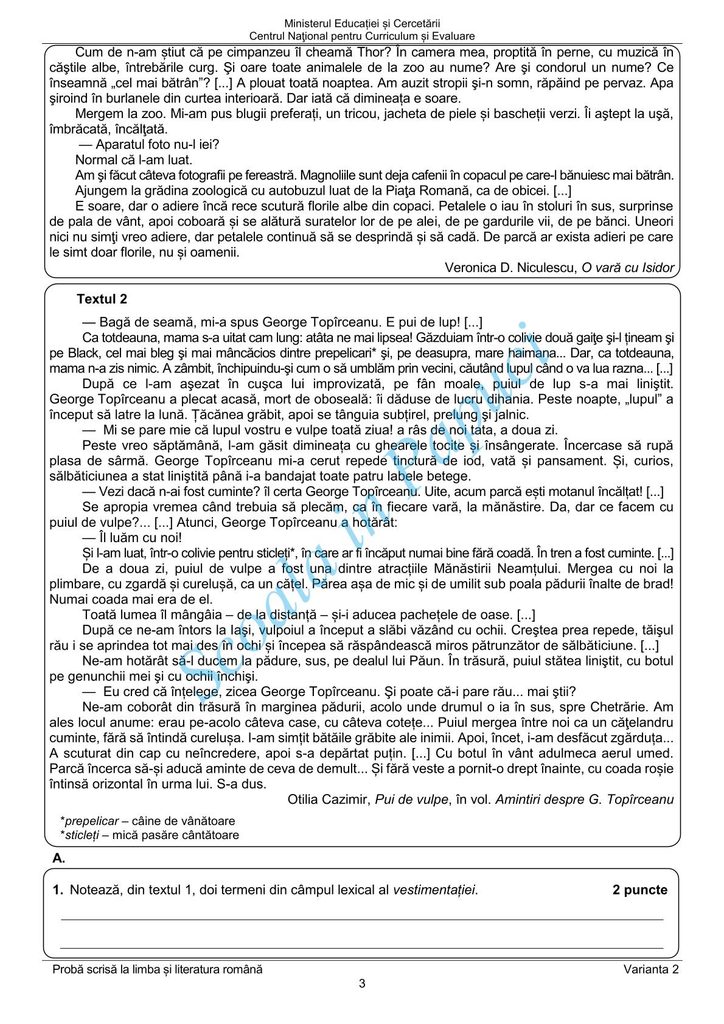 Evaluarea Națională 2025 - Limba și literatura română - Varianta de Rezervă - 23 Iunie 2025 - P3