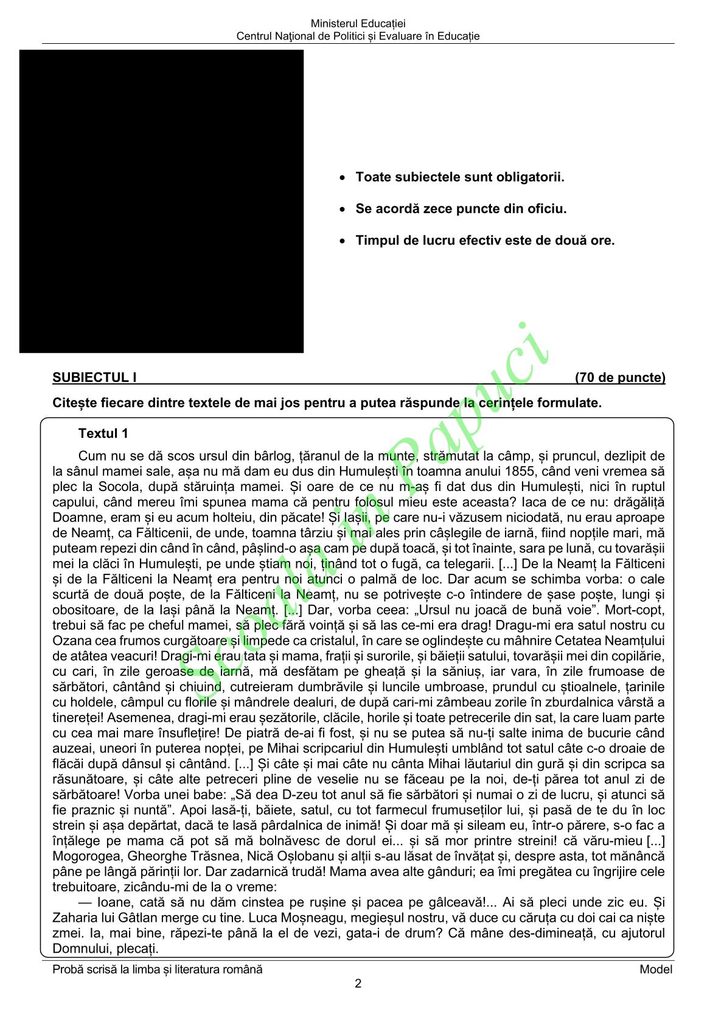 Model Evaluarea Națională 2025 - Limba și literatura română - P2