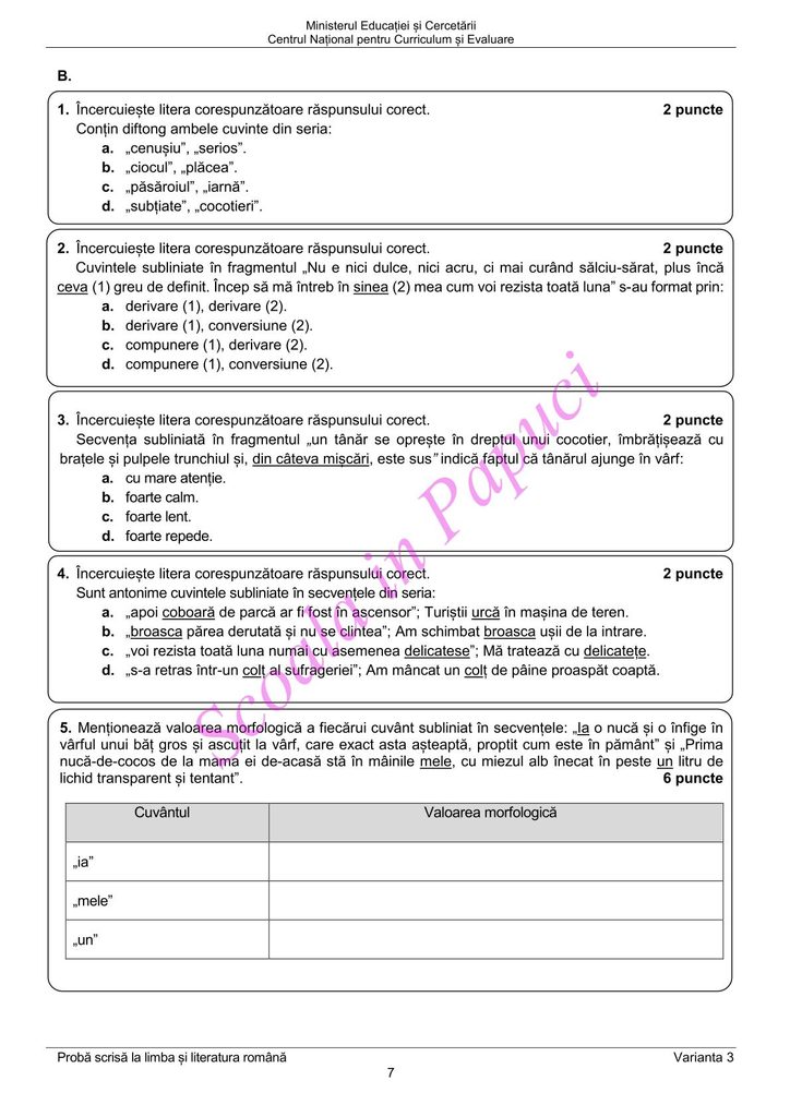 Evaluarea Națională 2026 - Limba și literatura română - 22 Iunie 2026 - P7