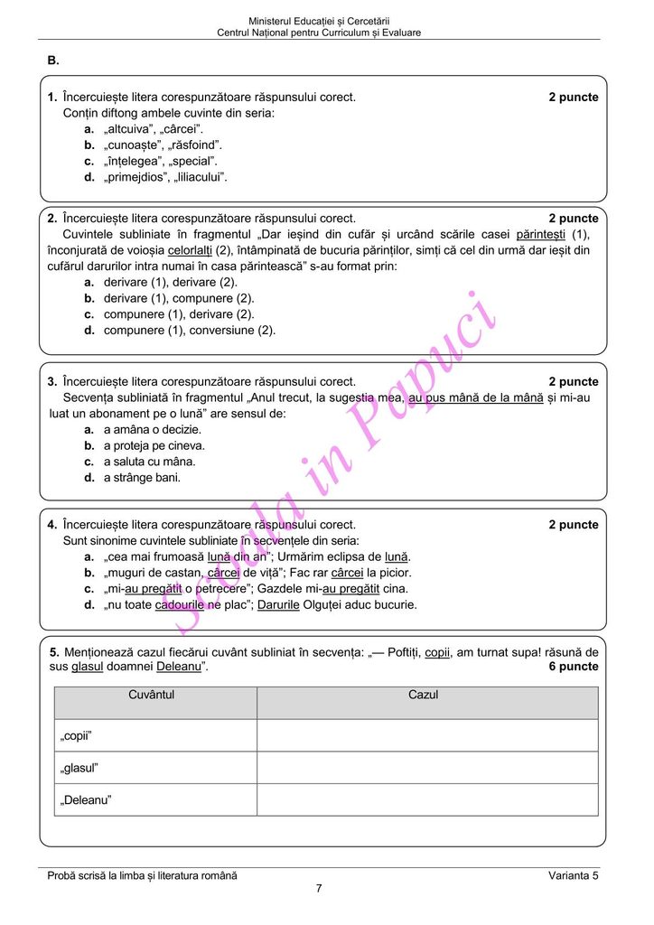 Evaluarea Națională 2026 - Limba și literatura română - Varianta de Rezervă - 22 Iunie 2026 - P7